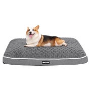 Hundebett Orthopädisches Waschbar L 89 x B 59 x H 10 cm Mitt 1 St