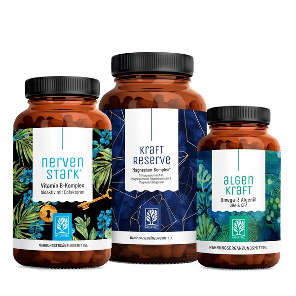 Durchstarter Paket: B-Vitamine, Magnesium & Omega 3 in einem veganen Bundle - NERVENSTARK, KRAFTRESERVE & ALGENKRAFT - NATURTREU® 274 g