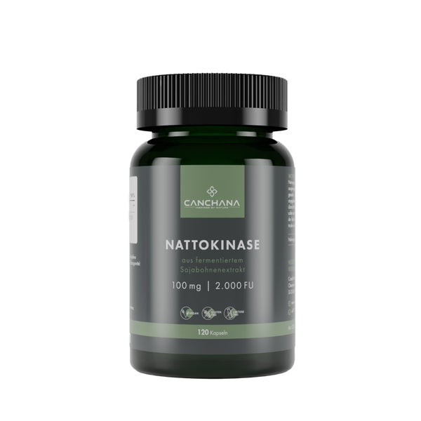 Nattokinase Aus Fermentiertem Sojabohnenextr.kaps. 120 St
