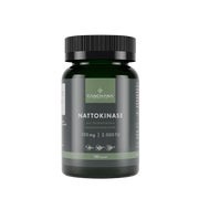 Nattokinase Aus Fermentiertem Sojabohnenextr.kaps. 120 St