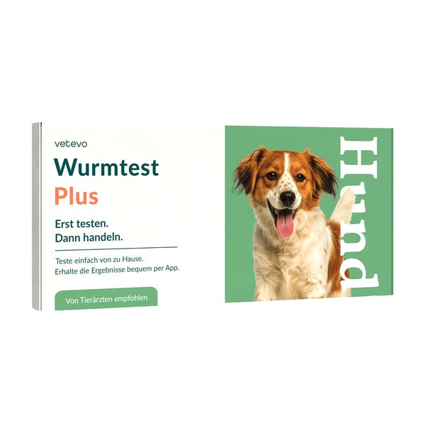 Wurmtest Plus Hund – inkl. Lungenwürmer 1 St