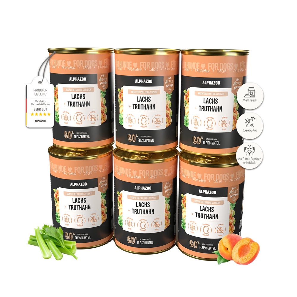 Lachs + Truthahn Nassfutter für Adult Hunde 6er 2400 g