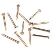 Rundkopfstifte Nägel 300 Stück Eisen vermessingt 15mm 1 St