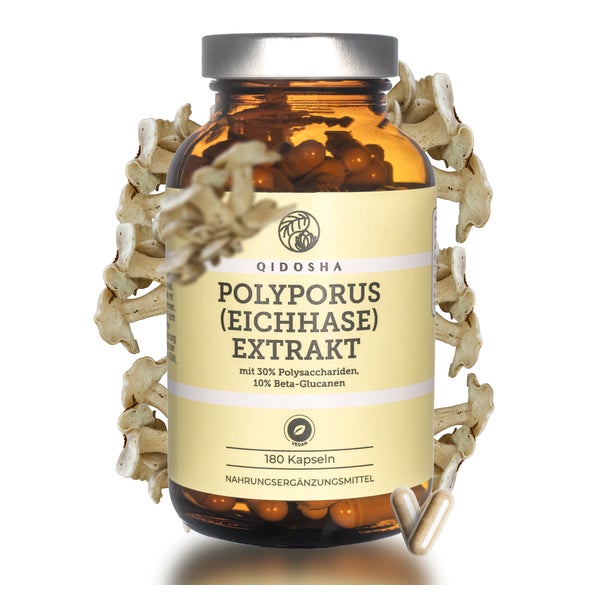 QIDOSHA Polyporus (Eichhase) Extrakt 120 St