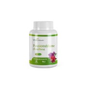 VitaSanum® - Passionsblume (Passiflora) 500 mg 60 Kapseln 60 St