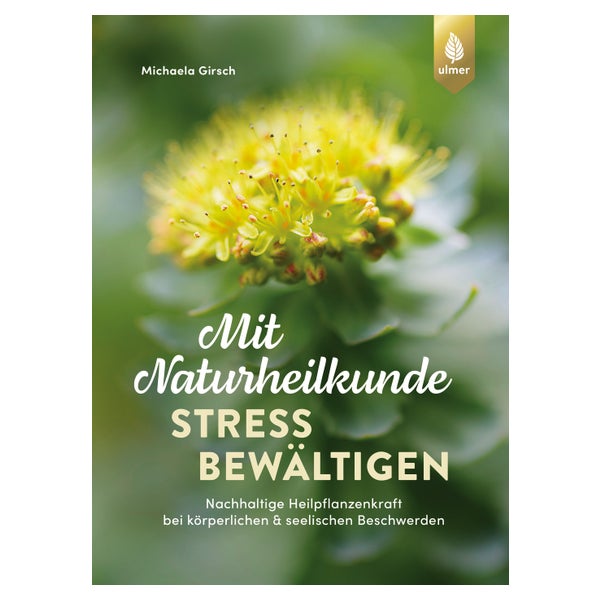 Mit Naturheilkunde Stress bewältigen 1 St