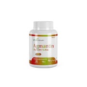 VitaSanum®- Agmantin (Agmatin-Sulfat) 500 mg 100 Kapseln  St