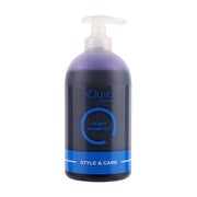 Silber Shampoo, Anti Gelbstich Shampoo für blondes Haar 500 ml