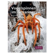 Vogelspinnen im Terrarium