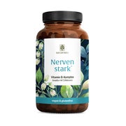 Produktabbildung: Vitamin B Komplex hochdosiert - Alle 8 B Vitamine mit 3 Cofaktoren - NERVENSTARK - 120 vegane Kapseln - NATURTREU® 120 St