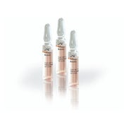 CNC -Collagen Booster, 10  - Wirkstoffampullen 20 ml
