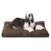 Hundekissen 120x90cm gepolstert waschbar Braun L 120 x B 90 1 St