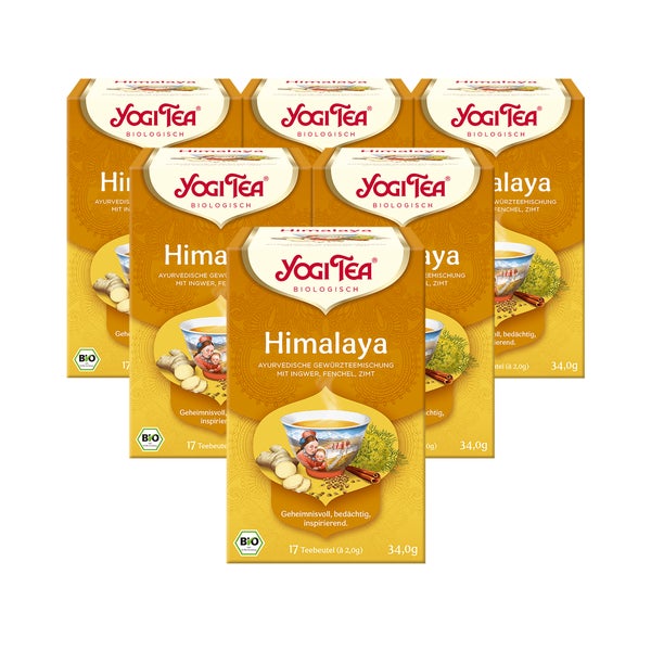 Yogi Tea - Himalaya Chai Bio Gewürztee | 3 x 34g 3x17 St