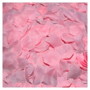 Diablo Picante - 100 rosa Blütenblätter