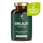 Vitactiv SHILAJIT 120 St