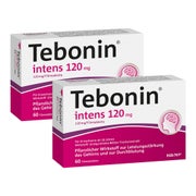 Produktabbildung: Tebonin intens 120 mg 2X60 St