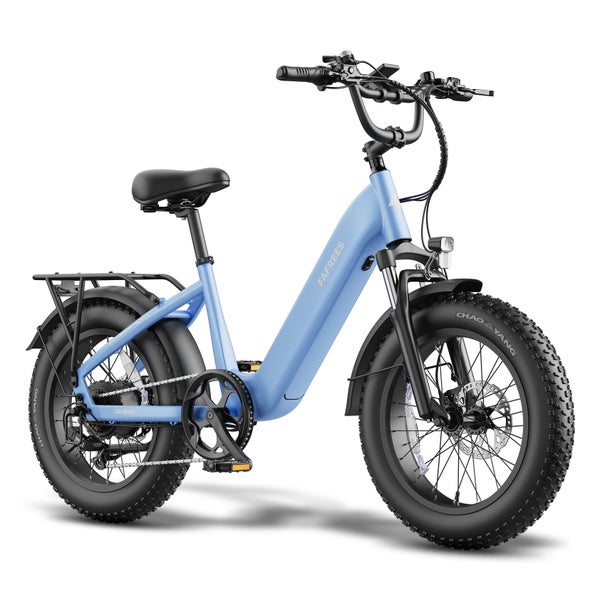 FAFREES F20 Rover Tiefeinsteiger-E-Bike, 48V 20Ah 1 St