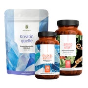 Kreatin, Magnesium & Aminosäuren für Muskeln & Leistung in einem veganen Paket - RUNDUM FIT Sparkpaket - KREATINQUELLE, MUSKELRATION & AMINOKRAFT - NATURTREU® 761.9 g