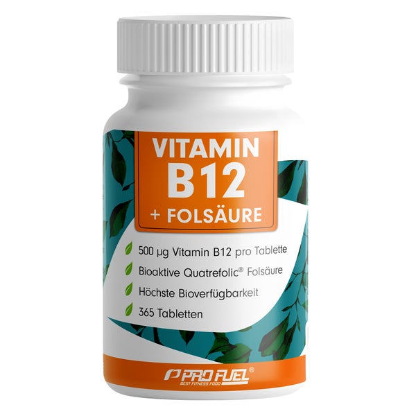 ProFuel - VITAMIN B 12 + Folsäure 91 g