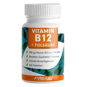 ProFuel - VITAMIN B 12 + Folsäure 91 g