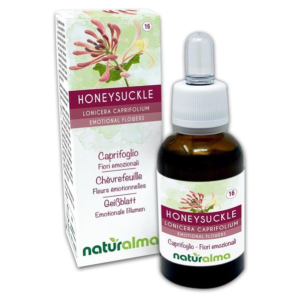 Naturalma Geißblatt Lonicera caprifolium Tropfen 30 ml