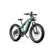 DUOTTS E26 26" Fatbike-Elektro-Mountainbike 48V 20Ah 1 St