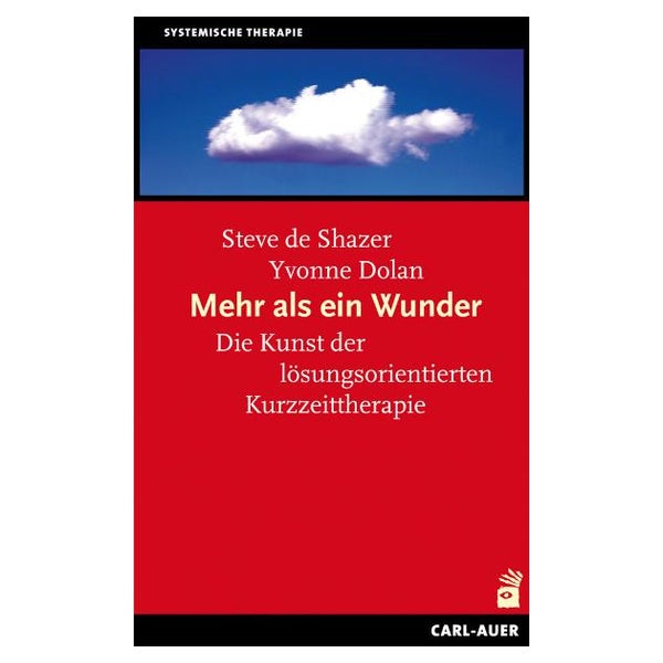 Mehr als ein Wunder 1 St