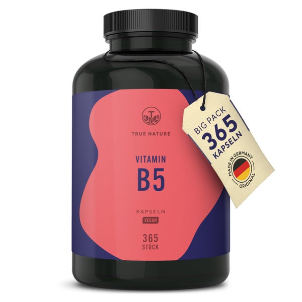 Vitamin B5 Kapseln, Pantothensäure - 1 Jahr Vorrat, Vegan 365 St