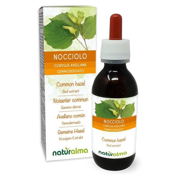 Naturalma Gemeine Hasel Corylus avellana Flüssig 120 ml