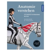 Anatomie verstehen - Pferde gesundheitsfördernd reiten -...