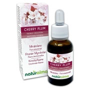 Naturalma Kirschpflaume Prunus cerasifera Tropfen 30 ml