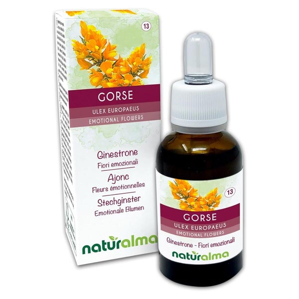 Naturalma Stechginster Ulex europaeus Tropfen 30 ml