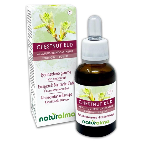 Naturalma Rosskastanienknospe Aesculus hippocastanum Tropfen 30 ml
