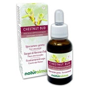 Naturalma Rosskastanienknospe Aesculus hippocastanum Tropfen 30 ml