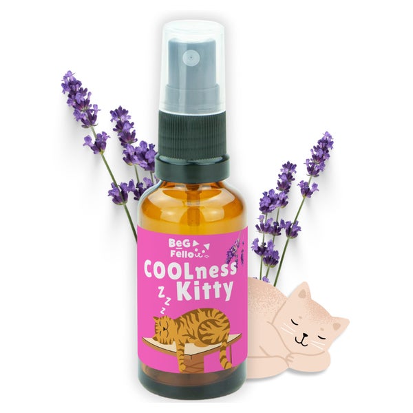COOLness Kitty Spray für Katzen, Entspannung 30 ml
