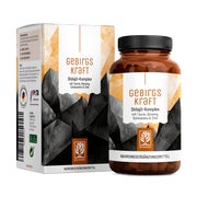 Shilajit-Komplex mit Zink, Ginseng, Schisandra & Taurin - GEBIRGSKRAFT - 90 vegane Kapseln - NATURTREU® 90 St