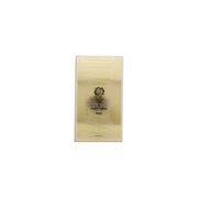 Memo French Leather Eau de Parfum 75ml 0,075 l