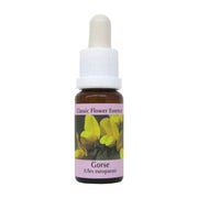 PHI Essences – Gorse Bachblüte Nr. 13 - 1 St