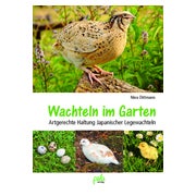 Wachteln im Garten