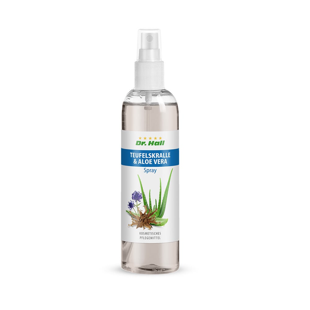 Dr. Hall Teufelskralle & Aloe Vera 1 St