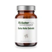 Gotu Cola Extrakt 400 Mg Kapseln 90 St