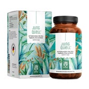 Produktabbildung: Hyaluronsäure Komplex mit Aloe Vera, Hirse Hagebutte & Biotin - JUNGQUELL - 90 vegane Kapseln - NATURTREU® 90 St