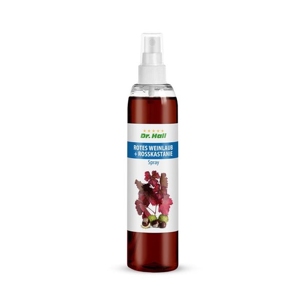 Dr. Hall ROTES WEINLAUB + ROSSKASTANIE Spray 1 St