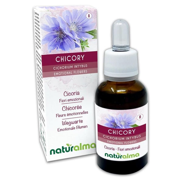 Naturalma Wegwarte Cichorium intybus Tropfen 30 ml