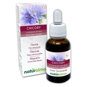 Naturalma Wegwarte Cichorium intybus Tropfen 30 ml