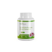 VitaSanum®- Echianecea Purpurea (Purpur-Sonnenhut) 200 mg 90 Kapseln 90 St