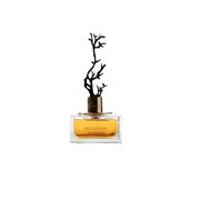 Deciduous Summer Eau De Parfum für Frauen 100 ml 0,1 l