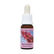 PHI Essences – Red Chestnut Bachblüte Nr. 25 - 1 St