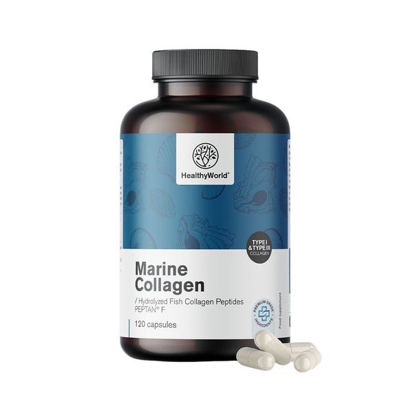 HealthyWorld Meereskollagen 1170 mg – Fischkollagen Typ I & III 120 St