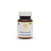 Triphala Guggulu Natural 60 St